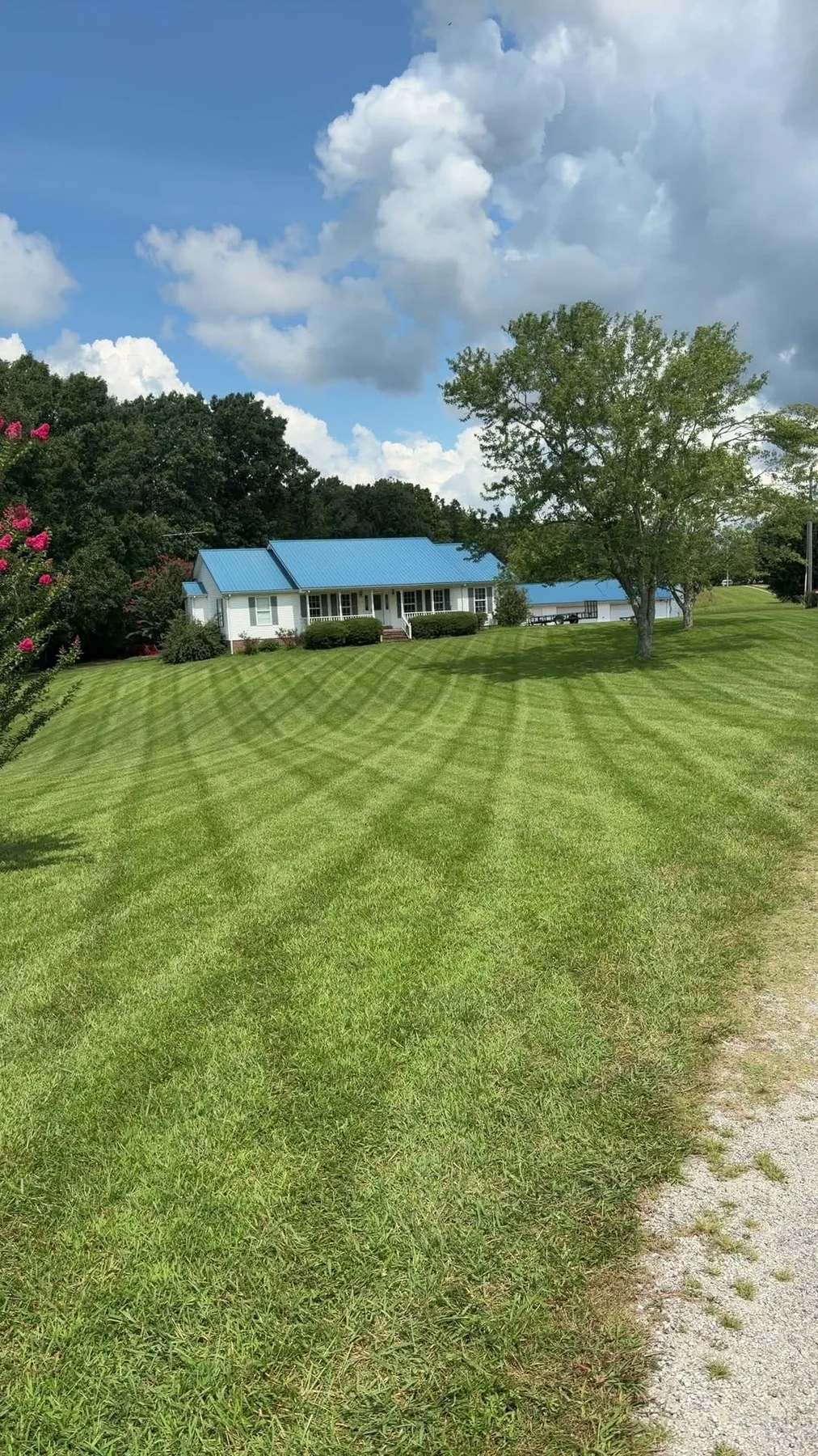 Striped lawn in front of a home with a blue roof