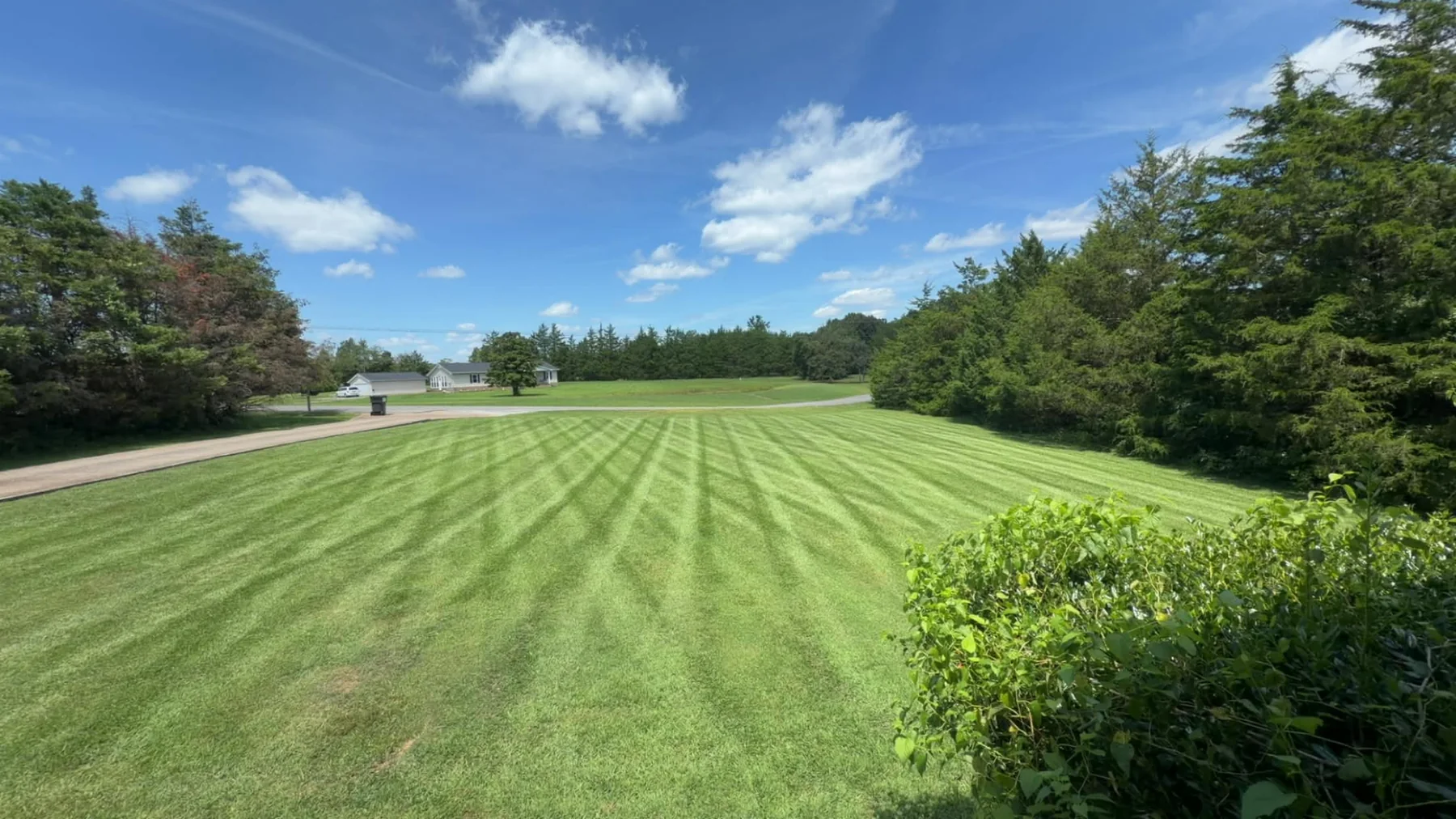 Large open lawn with broad mowing stripes