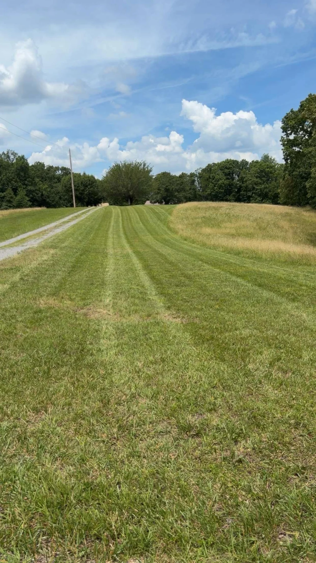 Maintained lawn running alongside a country drive