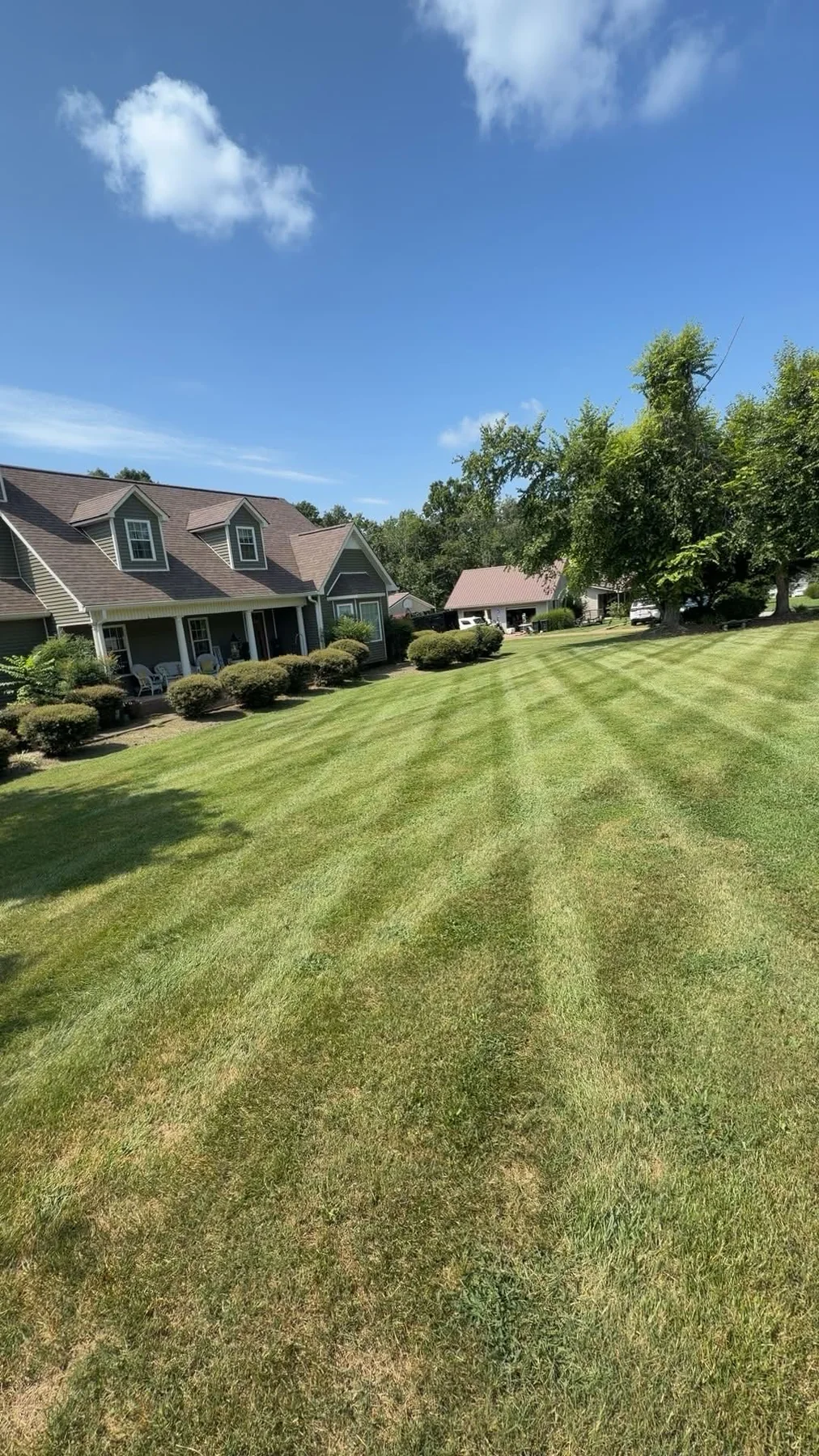 Residential lawn with visible mowing stripes